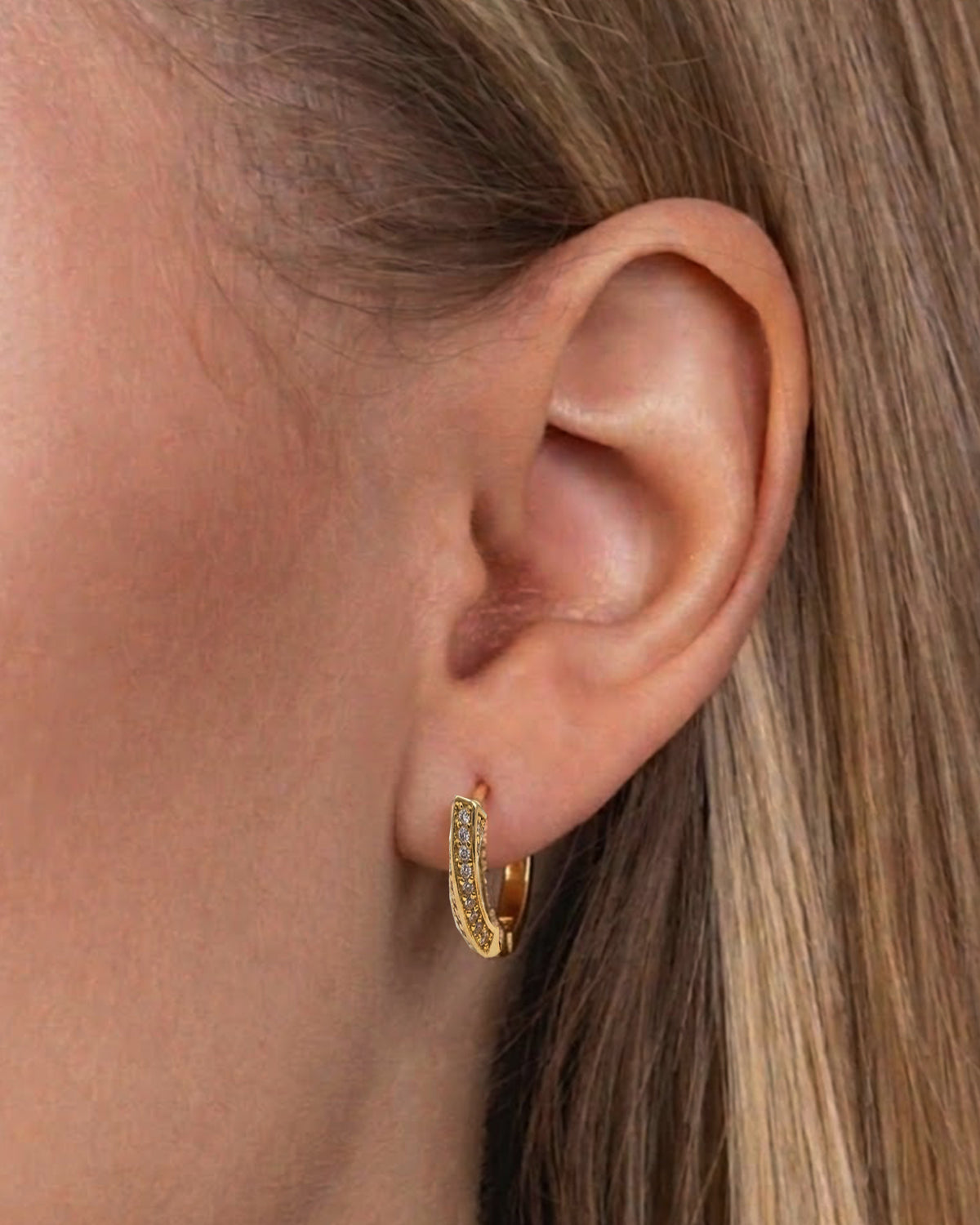 New Twisted Hoop Earrings